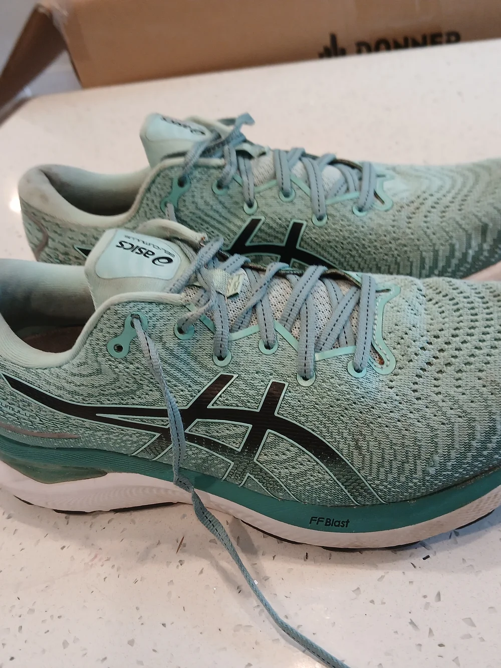 Size 11 - Asics Gel Cumulus 24 Oasis Green W
